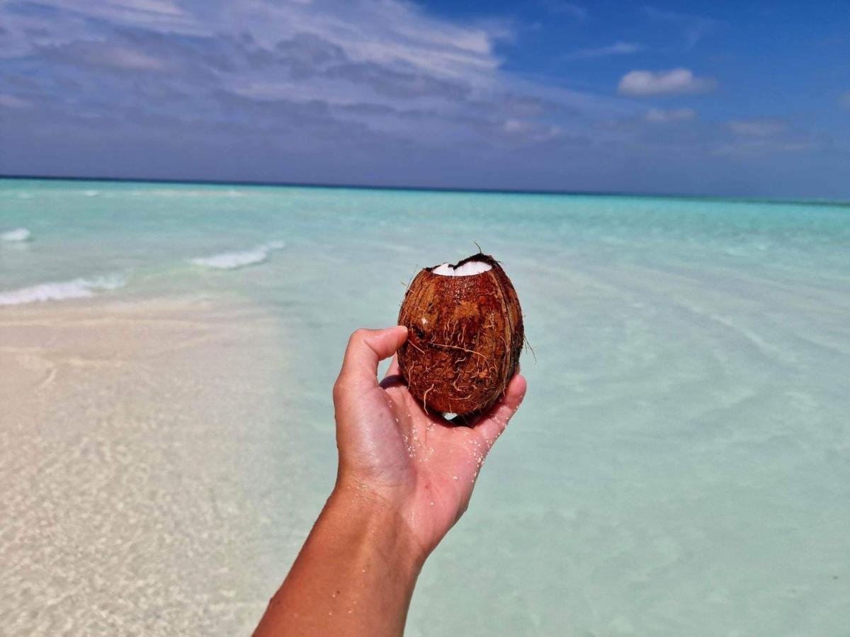 Finolhu Beach Guest House Đảo Đảo Felidhoo Ngoại thất bức ảnh